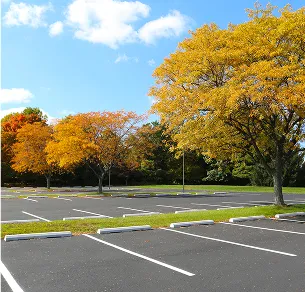 Un parking extérieur vide ensoleillé, bordé d'arbres aux feuilles jaunes et oranges d'automne à Varennes en Indre-et-Loire 37